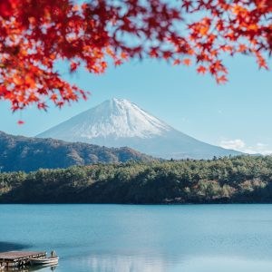 The Mount Fuji surrounded by the lake
