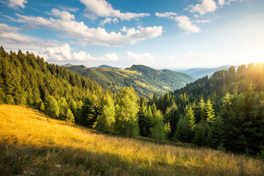 The sun in the trees and the mountains