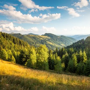 The sun in the trees and the mountains
