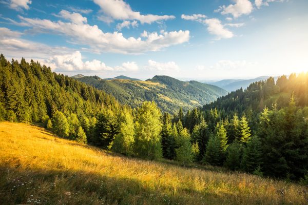 The sun in the trees and the mountains
