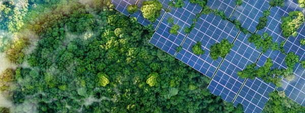 Solar panels in the Green forest
